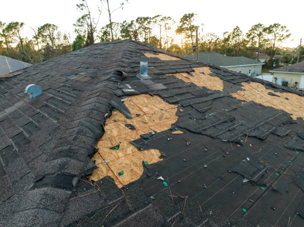 Best Roof Maintenance and Cleaning  in Red Bank, SC